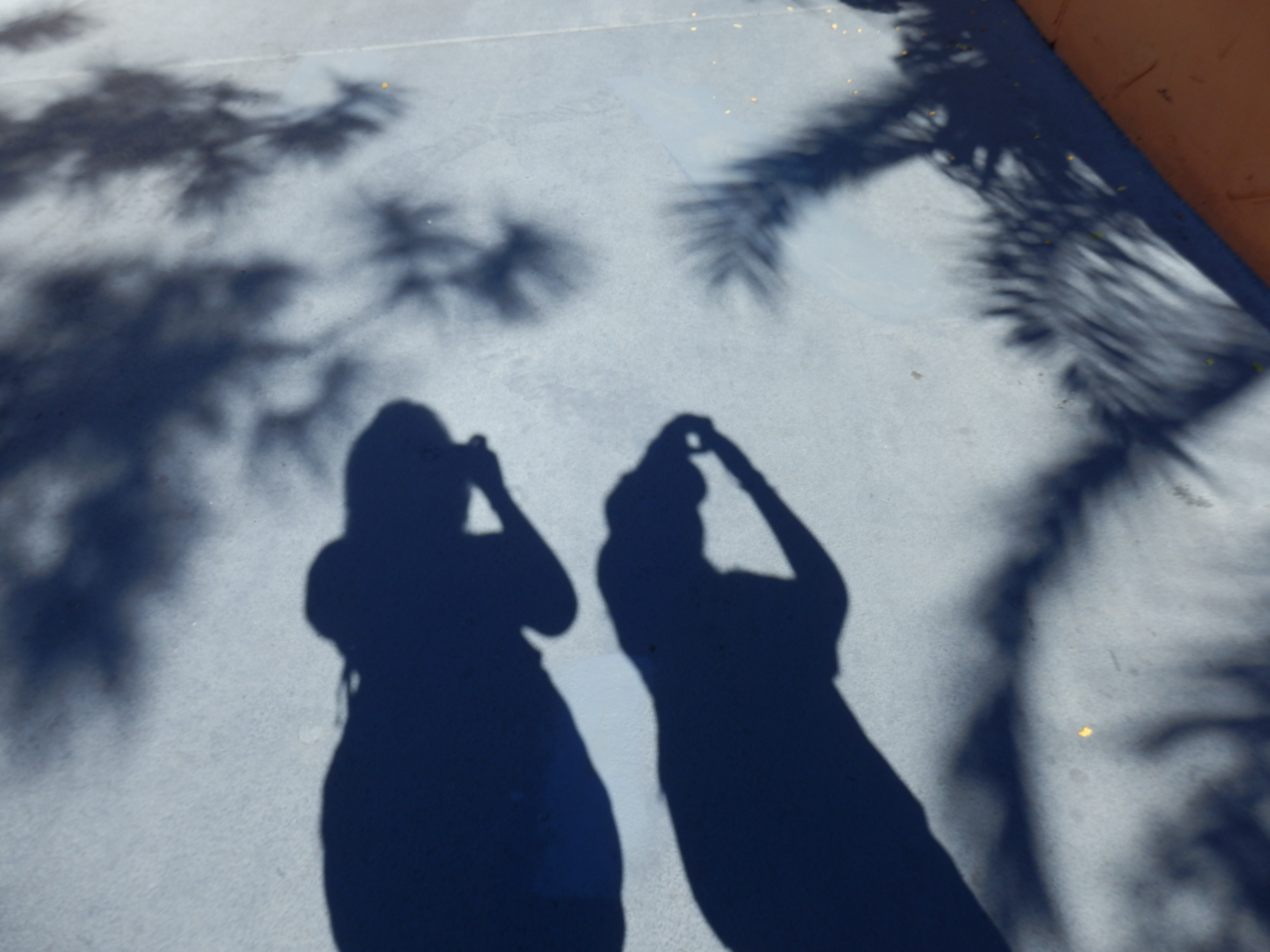 Photo Friday: Me and My Shadow