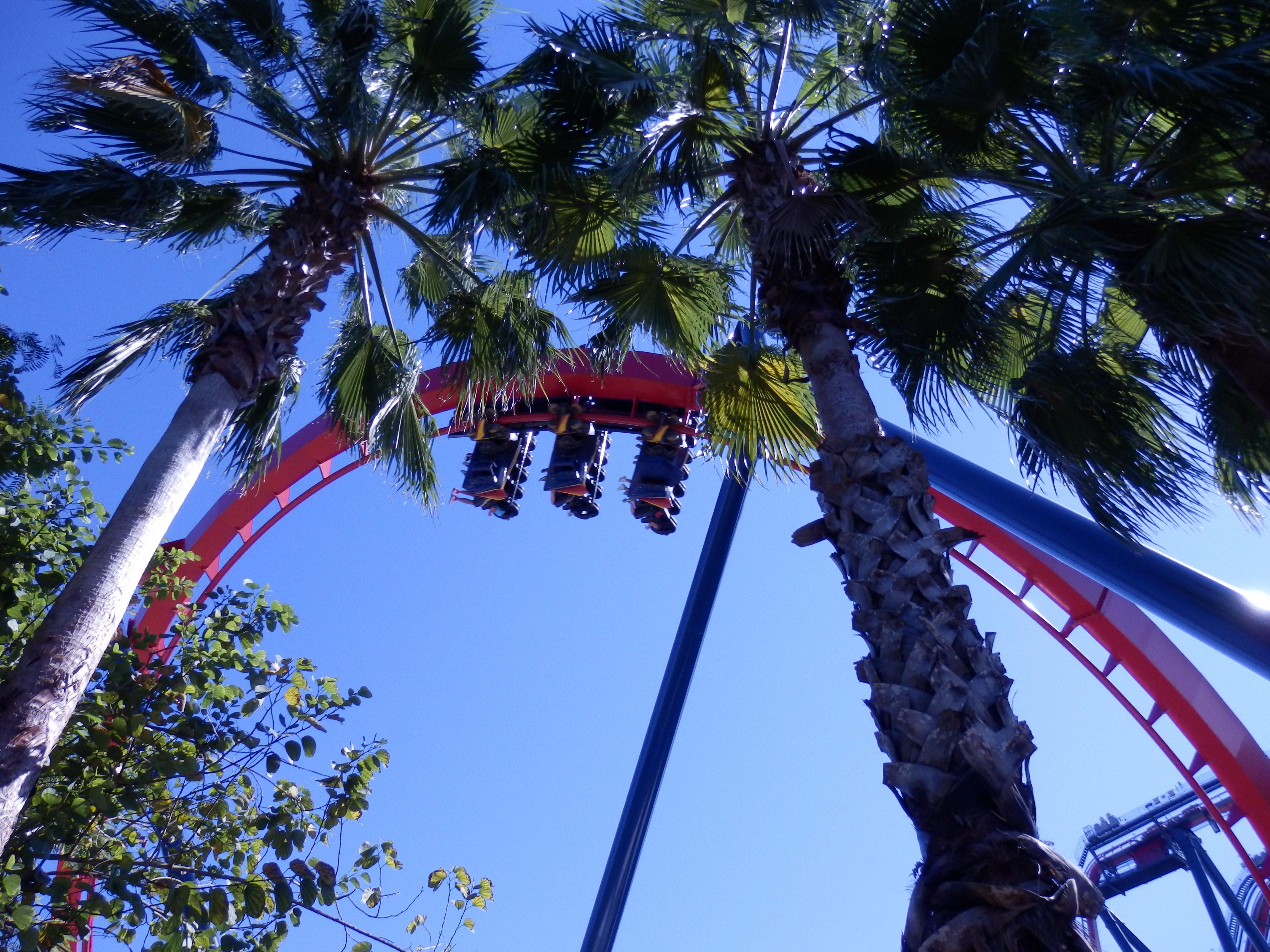 Photo Friday: Roller Coasters