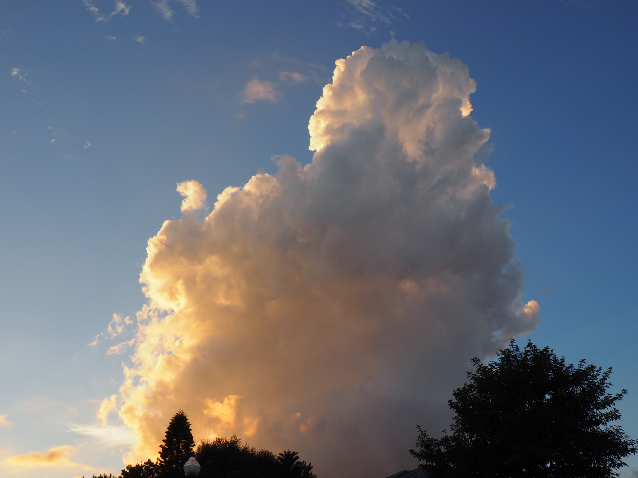 Photo Friday: Sunlit Cloud