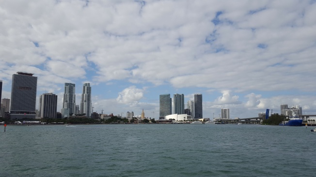 Skyline, with American Airlines Arena